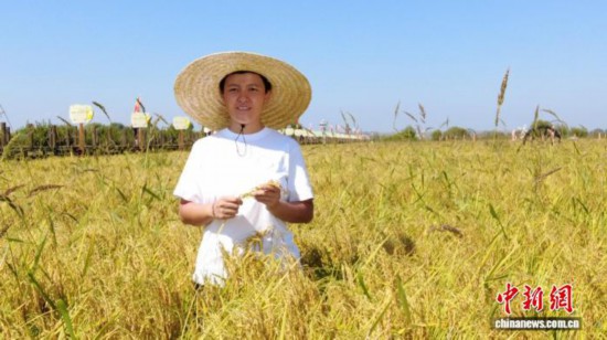 全國(guó)人大代表、寧安市渤海鎮(zhèn)上官地村黨支部書記、村委會(huì)主任陳雨佳在稻田中。 受訪者供圖